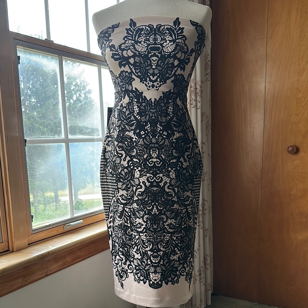 Express (NWT)- Black and White Strapless Sheath Dress - Picture 10 of 16